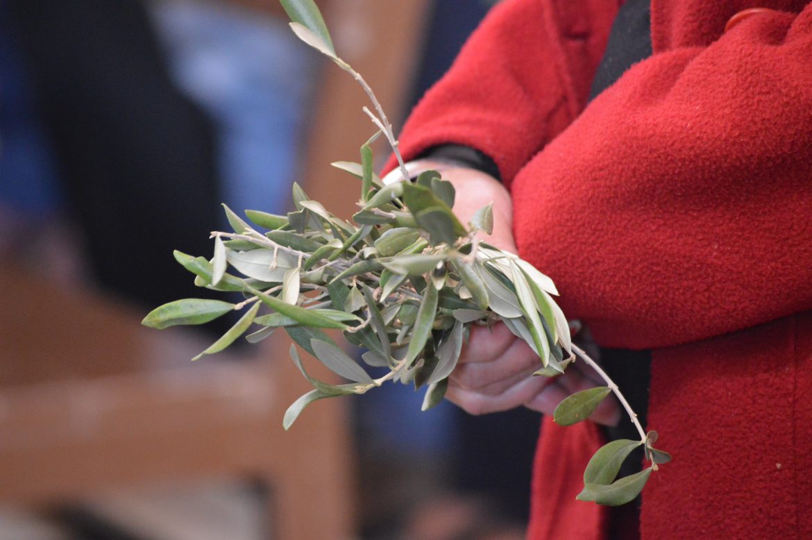 Celebración del Domingo de Ramos.