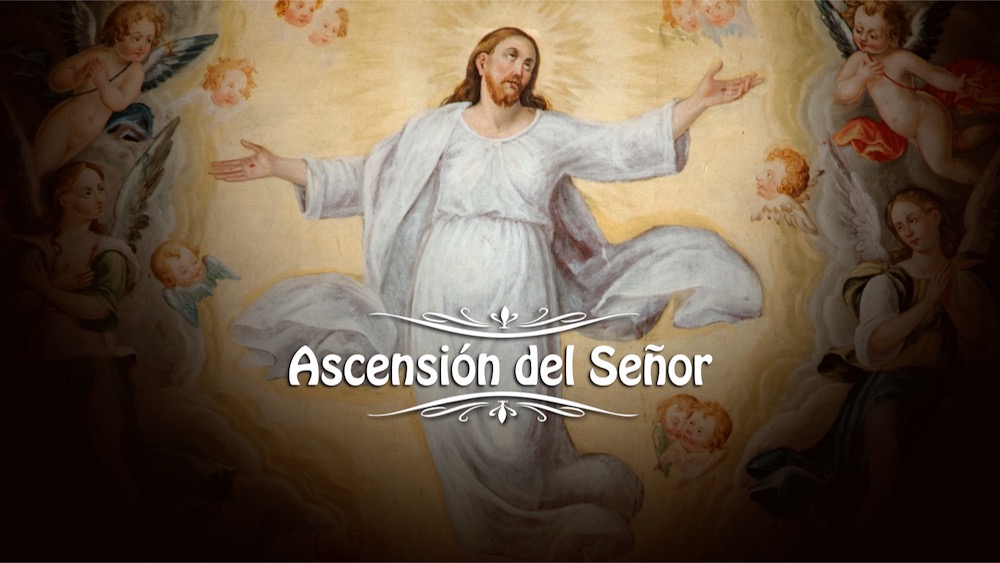 Santa Misa: Domingo 21 de mayo de 2023 - En Camino