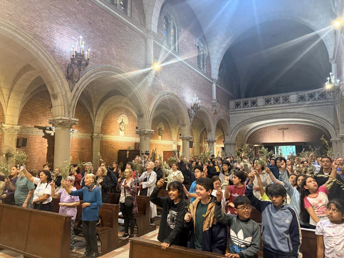 Domingo de Ramos en Tránsito de la Santísima Virgen María.